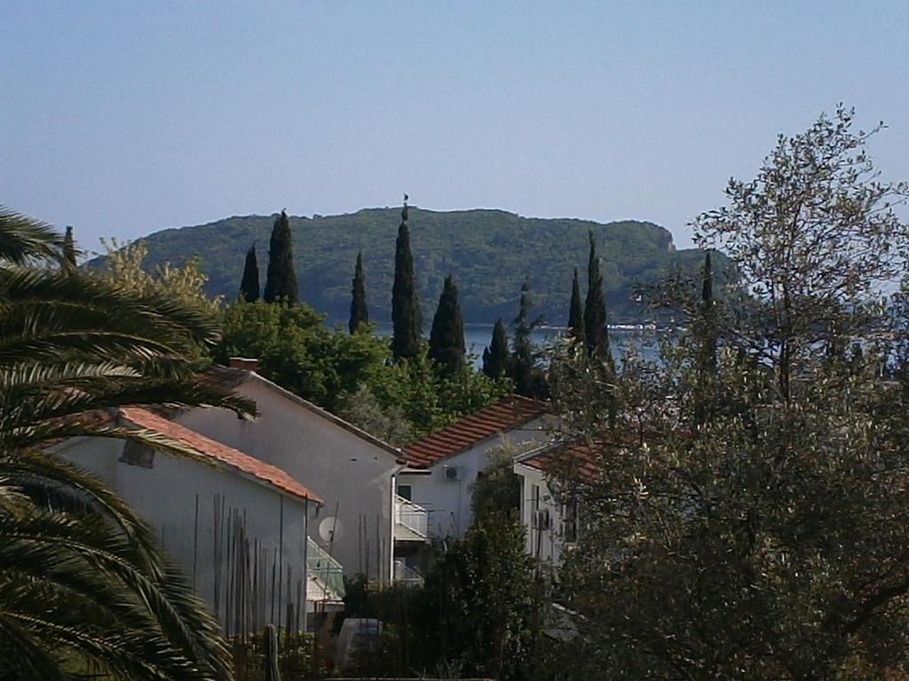 Mijovic Apartments Budva Quarto foto